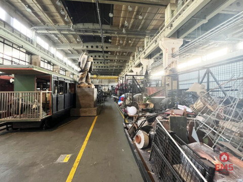 Warehouse/hall for rent