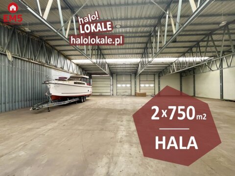 Warehouse/hall for rent