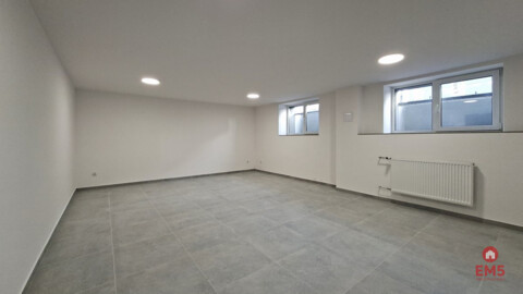 Business premises for rent