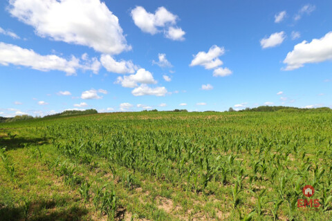 Działka budowlana na Mazurach Rożyńsk Wielki