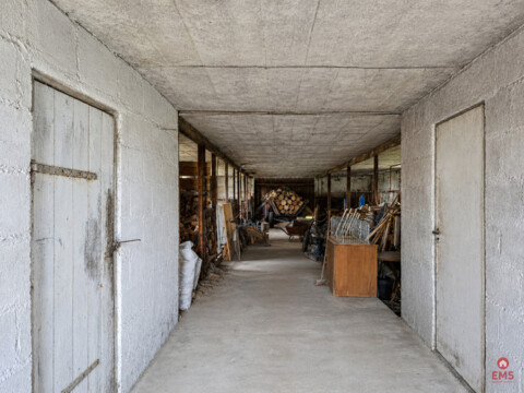 Siedlisko 0,6 ha, gm. Brańsk