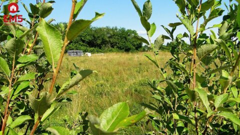 участок на продажу