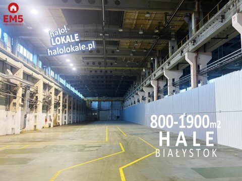 Warehouse/hall for rent