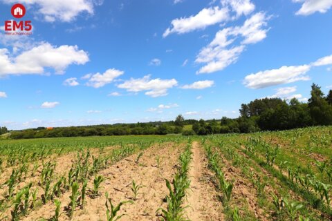 Działka budowlana na Mazurach Rożyńsk Wielki