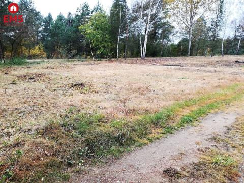 Działka rekreacyjna Dubicze Cerkiewne nad zalewem