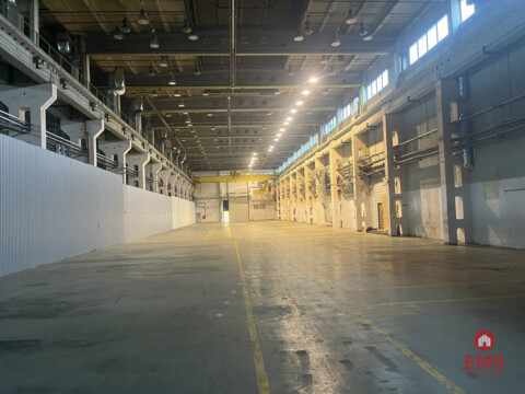 Warehouse/hall for rent