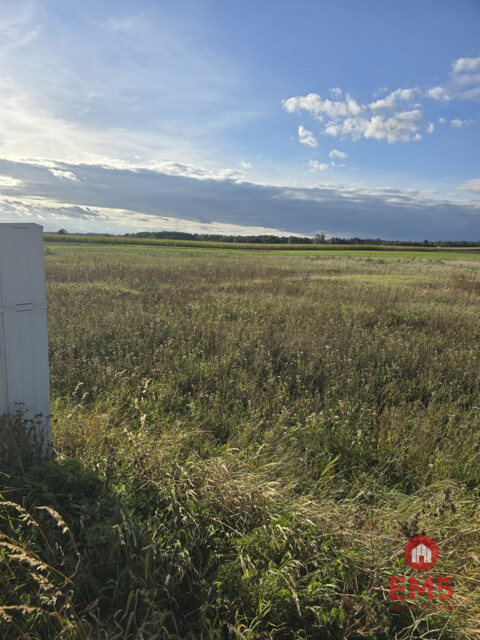 Działak budowlana blisko Narwi.