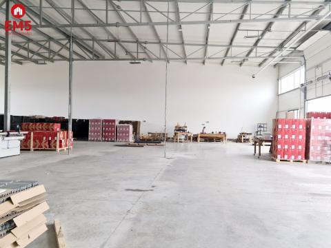 Warehouse/hall for rent