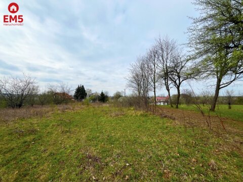 Królewskie Wzgórza, 3 km od Białegostoku.