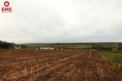 Działka rolno-budowlana - Żegary, gm. Sejny