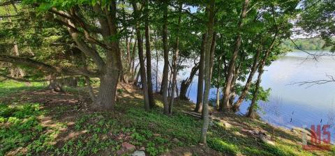 Działka 3300m Warmia plaża Jezioro Dąbrowa Mała