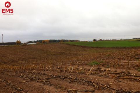 Działka rolno-budowlana - Żegary, gm. Sejny