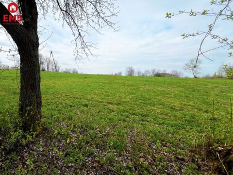 Królewskie Wzgórza, 3 km od Białegostoku.