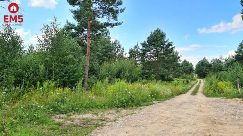 Działka budowlana 3000 m2, Ciasne