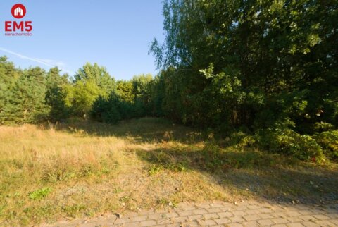 Duża działka z potencjałem Księżyno 18500m2