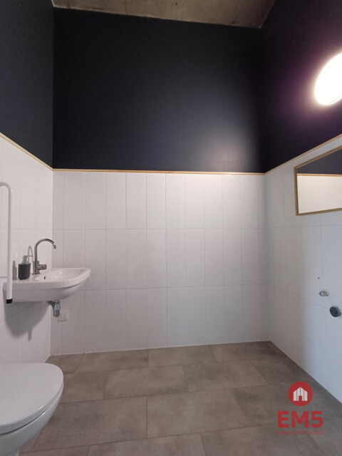 Business premises for rent