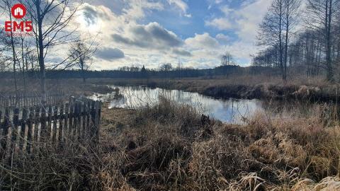 Połowa bliźniaka, Narewka