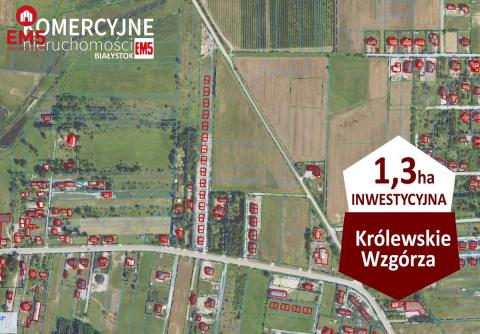 Królewskie Wzgórza, 3 km od Białegostoku.