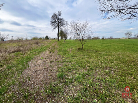 Królewskie Wzgórza, 3 km od Białegostoku.