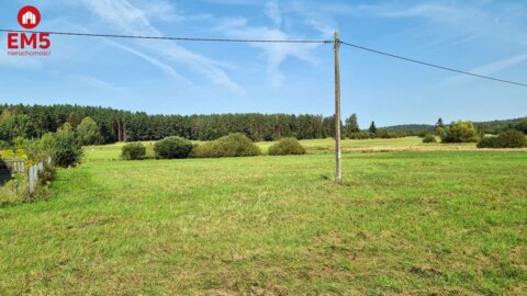 Działka rolna 0,74 ha, Królowy Most