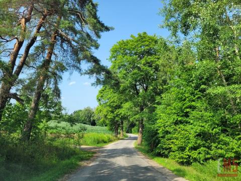 Mazury, jezioro Garbas, duża działka.