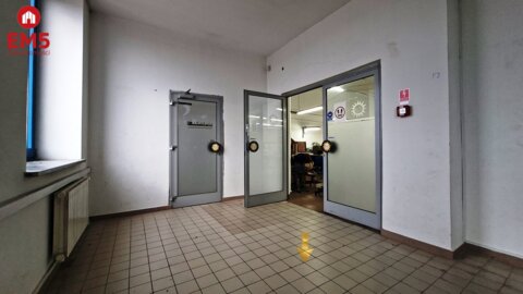 Lokal użytkowy 300 m2 na wynajem