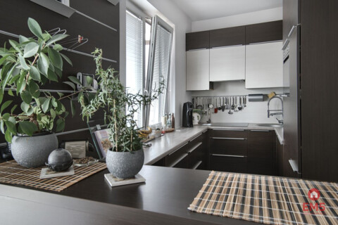 Dom 270 m2, siedlisko