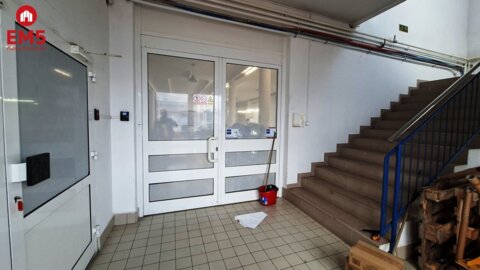 Lokal użytkowy 300 m2 na wynajem