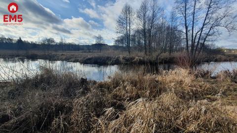 Połowa bliźniaka, Narewka