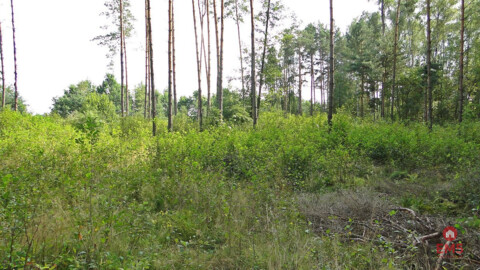 Grundstück zu verkaufen