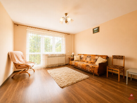 Siedlisko 0,6 ha, gm. Brańsk