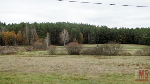 Działka rolna 1,15 ha, Królowy Most