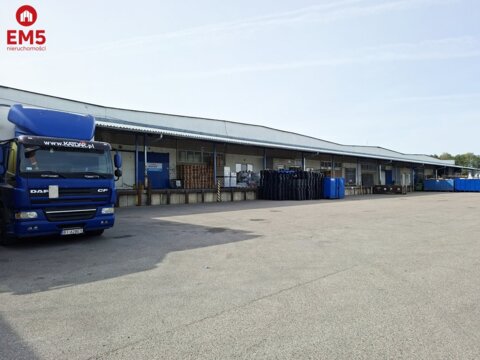 Warehouse/hall for rent