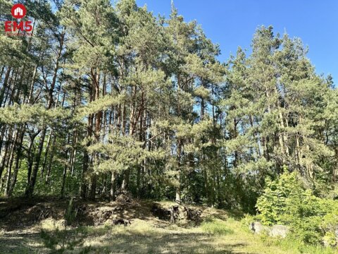 Grundstück zu verkaufen