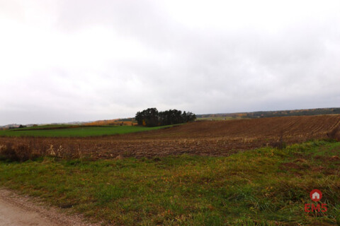 Działka rolno-budowlana - Żegary, gm. Sejny
