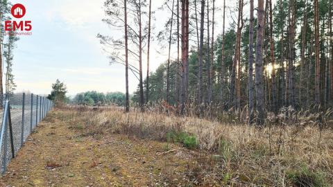 Działka 8500 m2, Jurowce