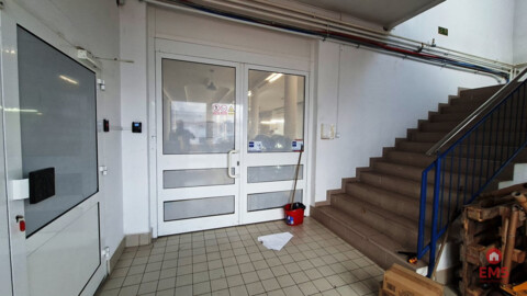 Lokal użytkowy 300 m2 na wynajem