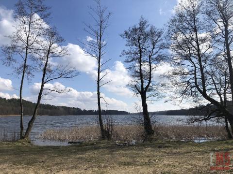 Pierwsza linia jeziora i bliskie sąsiedztwo lasu!