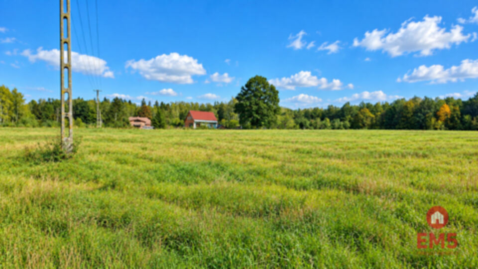Działka pod lasem. Łubianka