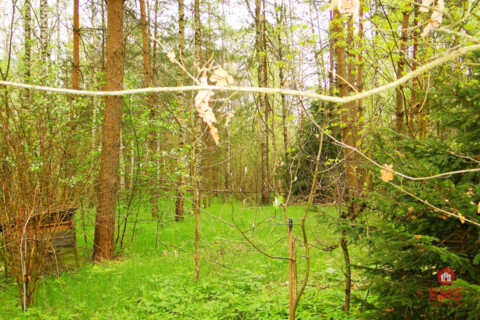 участок на продажу