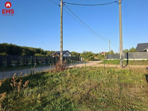 Dom w stanie surowym. Żółtki