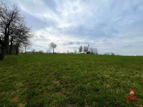 Królewskie Wzgórza, 3 km od Białegostoku.