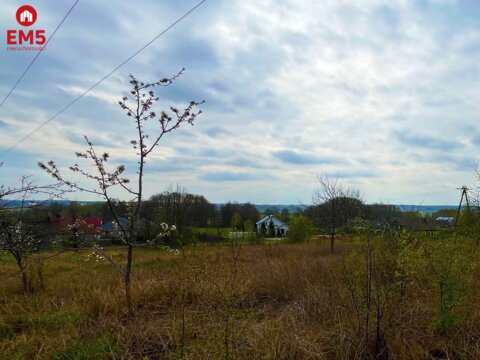 Królewskie Wzgórza, 3 km od Białegostoku.