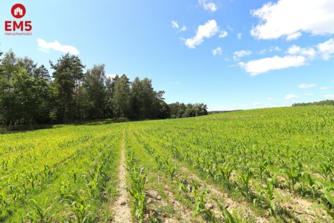 Działka budowlana na Mazurach Rożyńsk Wielki