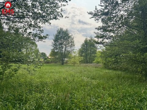 Działka w  Kosmatym Borku