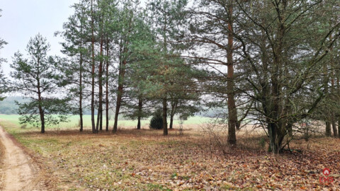 Działka 1743 m2, Pieńki