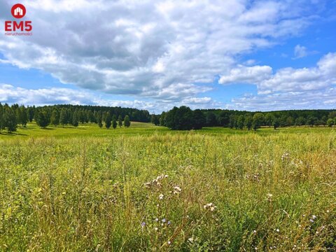 Działka budowlana na szlaku Kanału Elbląskiego!