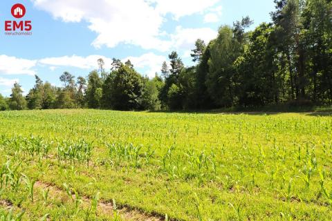 Działka na Mazurach z blisko jeziora