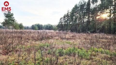 Działka 8500 m2, Jurowce