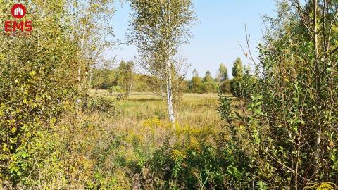 Działka budowlana 5100 m2, Ciasne